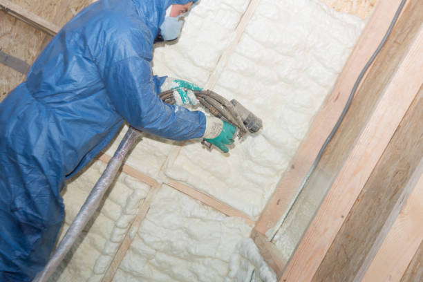 Best Basement Insulation  in Saks, AL